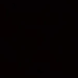 Meet your Posher, Denis